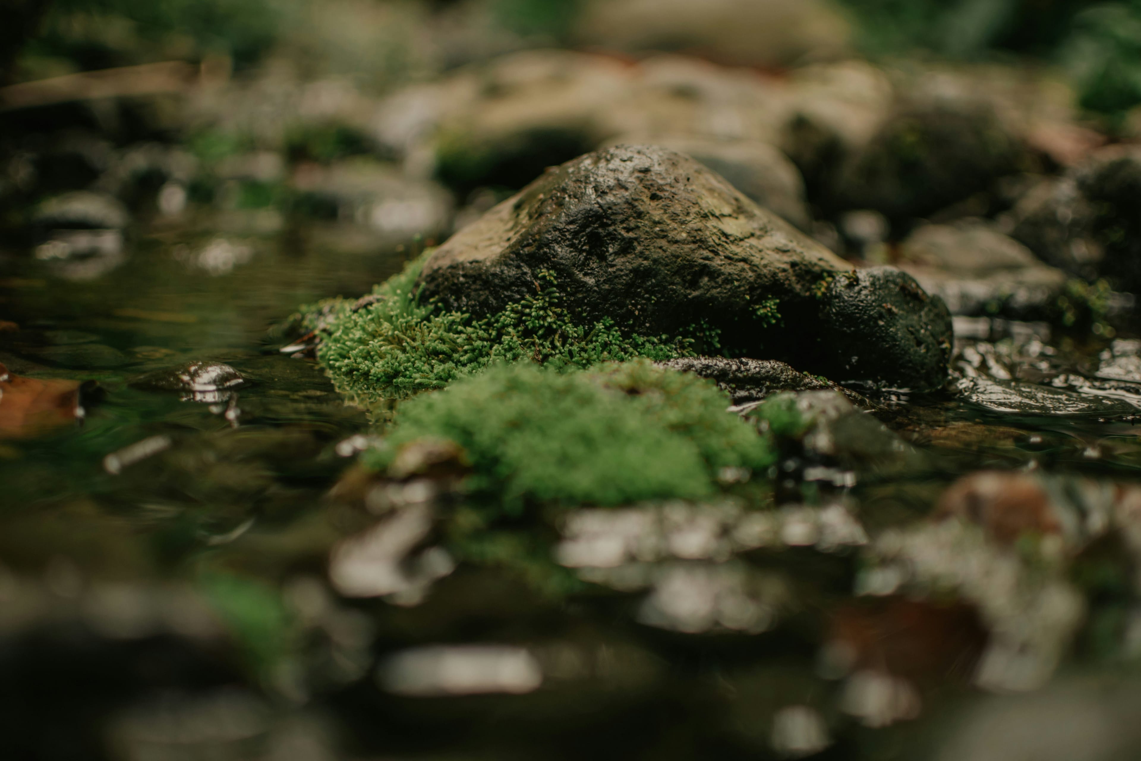 Sanitation & Hygiene